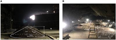 Study on the correlation between microbial communities with physicochemical properties and flavor substances in the Xiasha round of cave-brewed sauce-flavor Baijiu